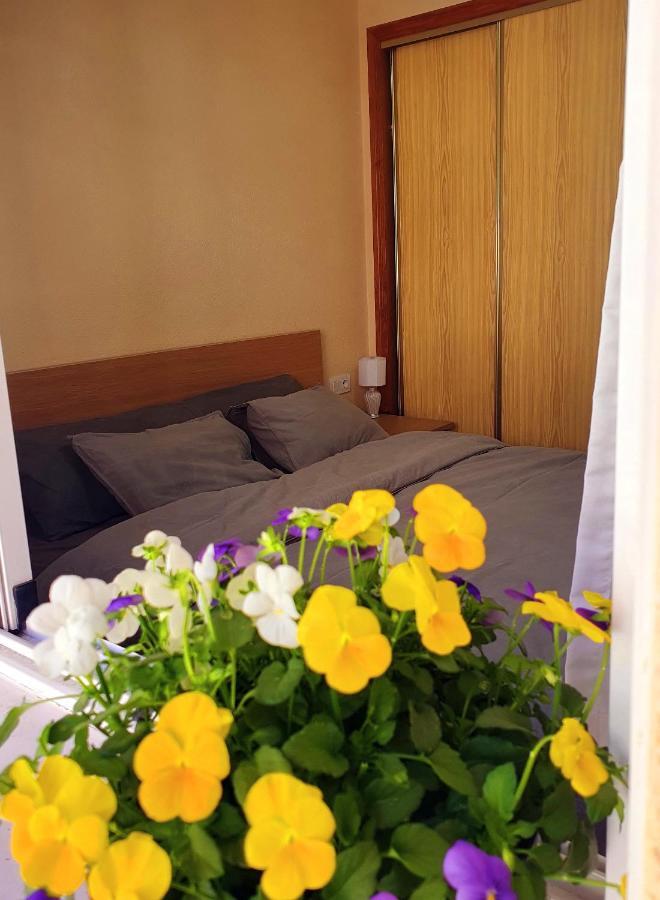 Isamar Apartamento Playa Del Cura Τορεβιέχα Εξωτερικό φωτογραφία
